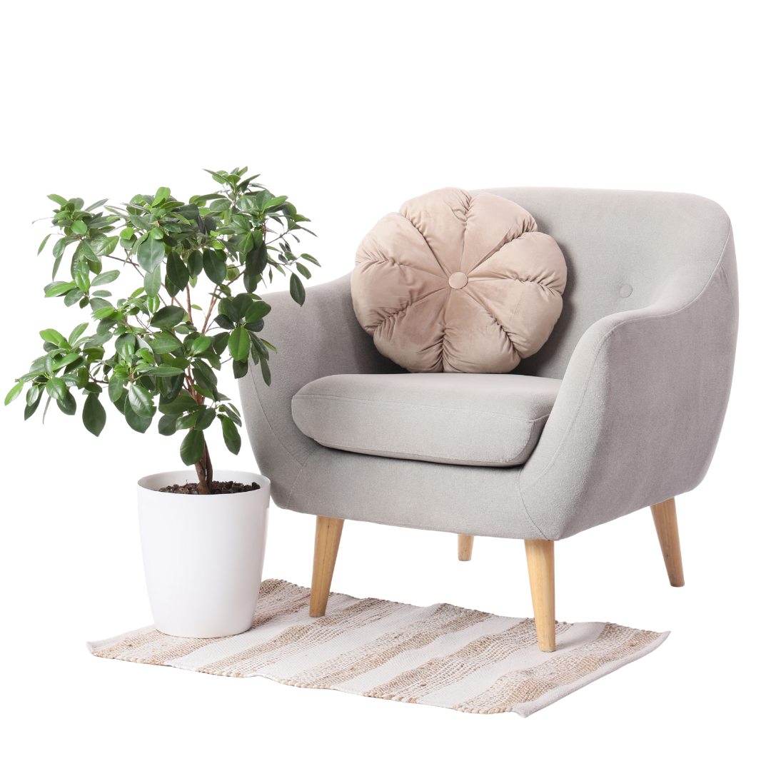 Casa e Decoração
